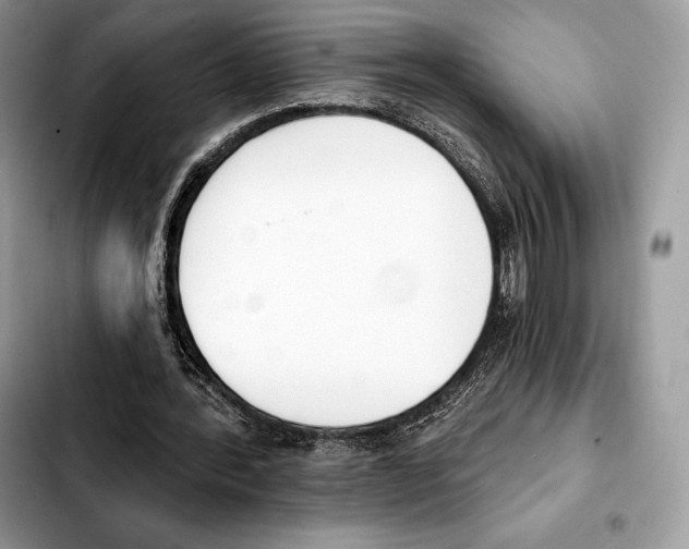 X0000103460388200810101155