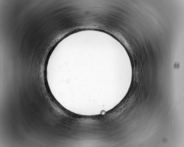 X0000103460389200810101155