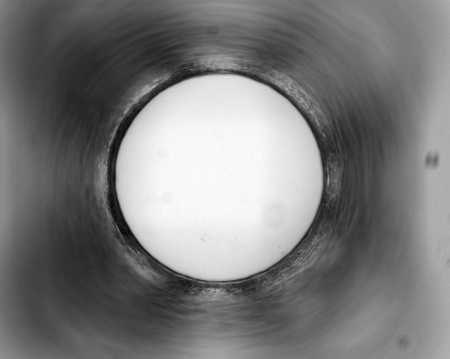 X0000103460390200810101155