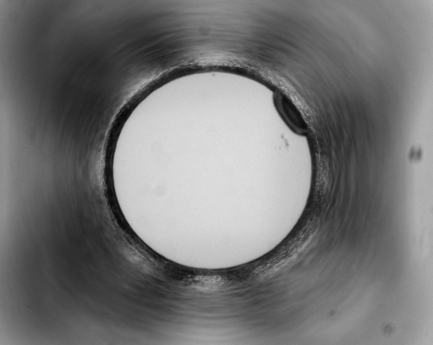 X0000103460391200810101155