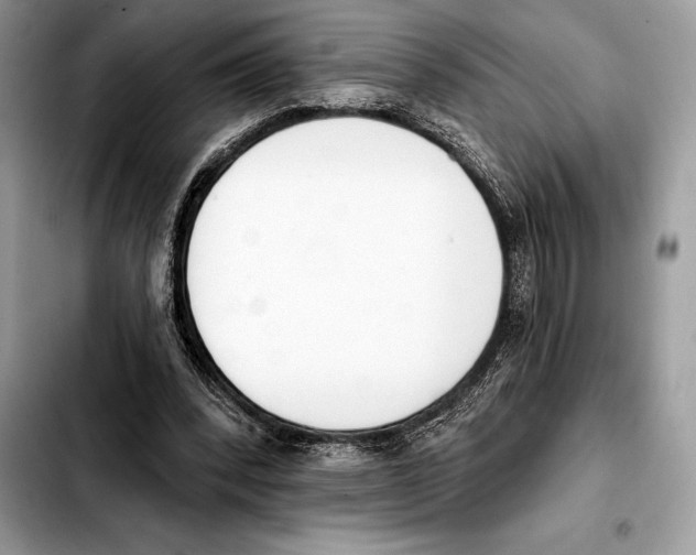 X0000103460392200810101155