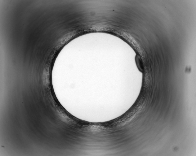 X0000103460393200810101155
