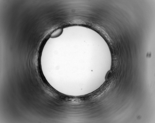 X0000103460395200810101155