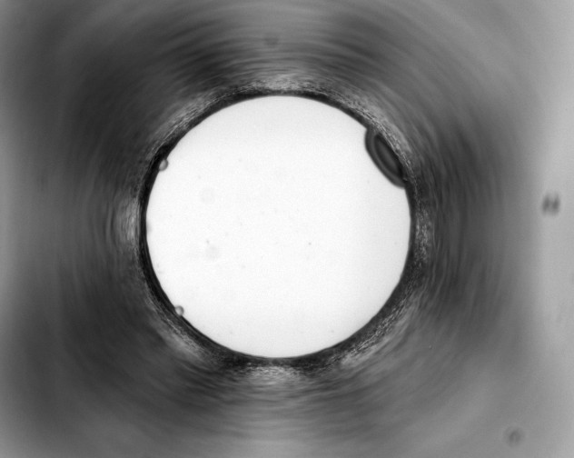 X0000103460397200810101155
