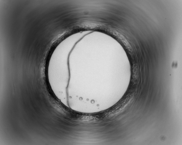 X0000103460399200810101155