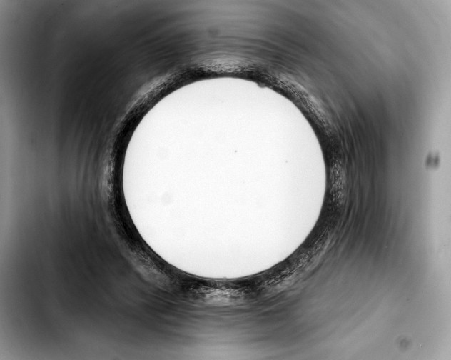 X0000103460400200810101155