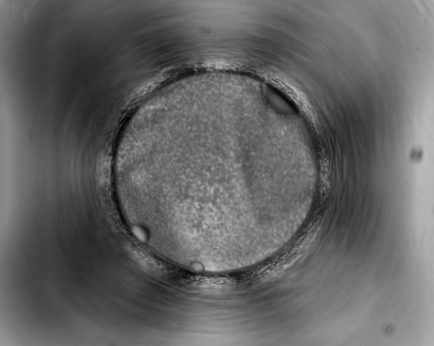 X0000103460401200810101155