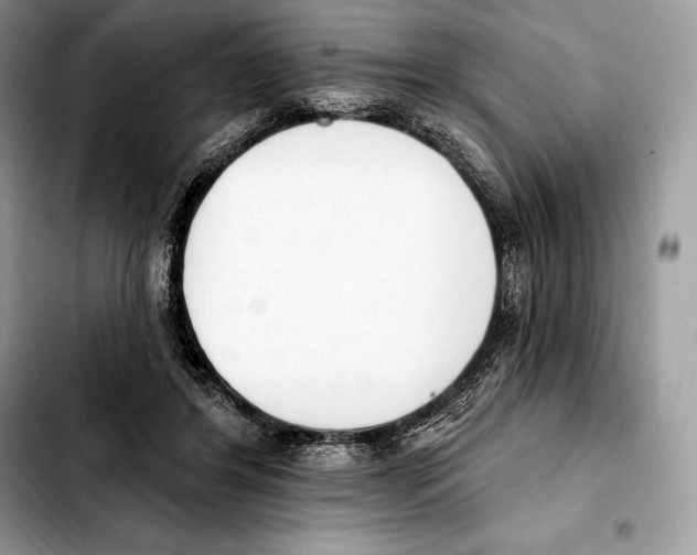 X0000103460404200810101155
