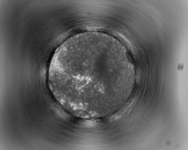 X0000103460405200810101155