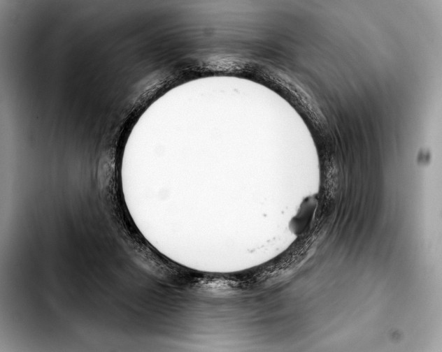 X0000103460407200810101155