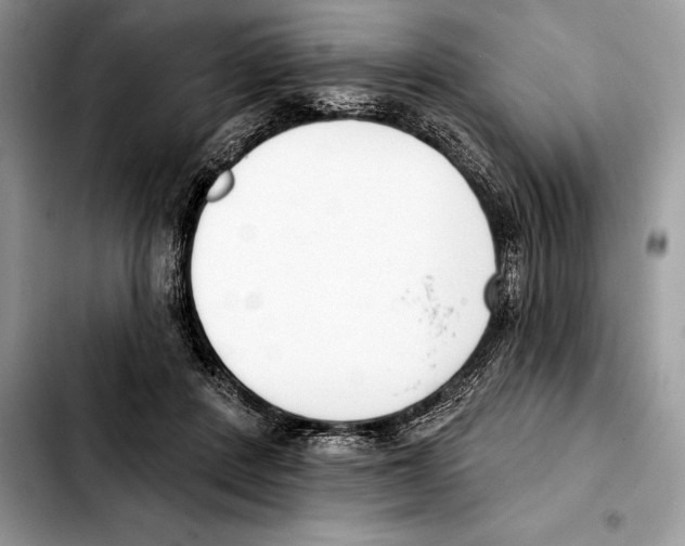 X0000103460408200810101155