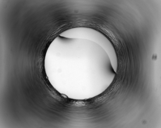 X0000103460409200810101155