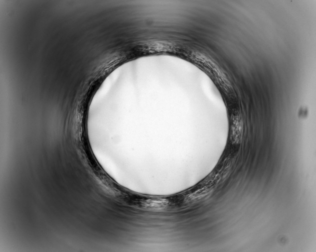 X0000103460410200810101155