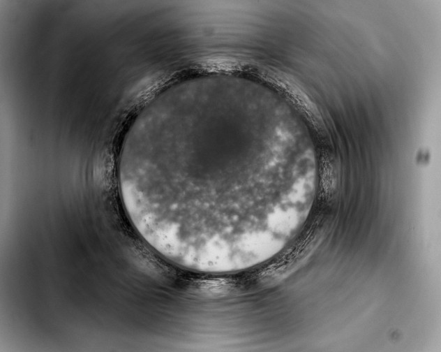 X0000103460411200810101155
