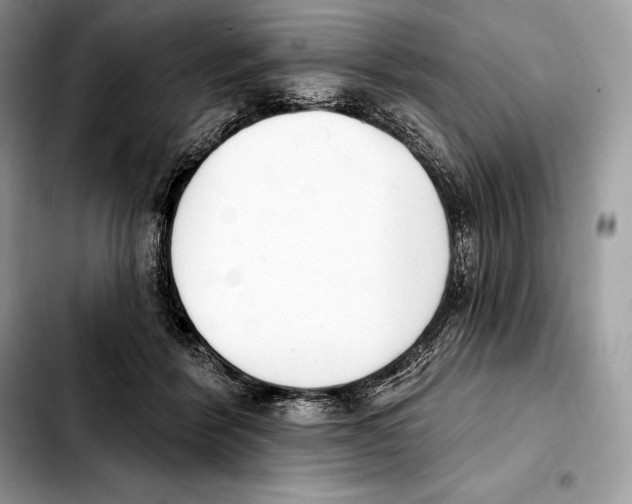 X0000103460412200810101155
