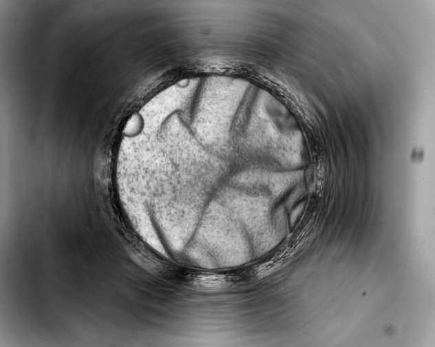 X0000103460413200810101155
