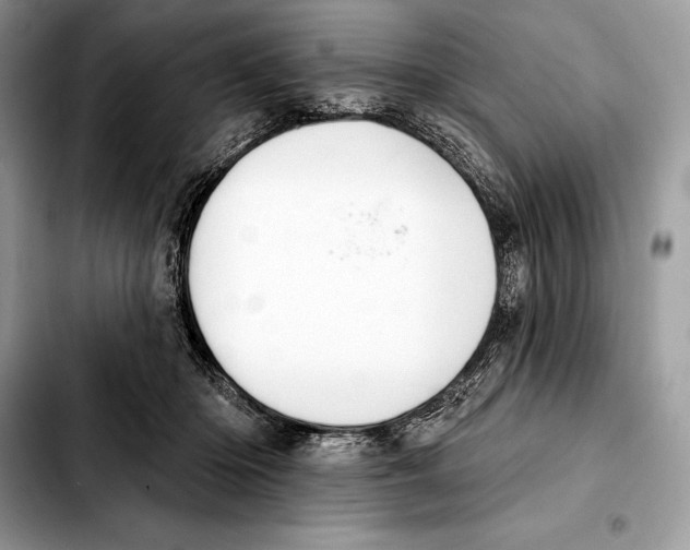 X0000103460414200810101155