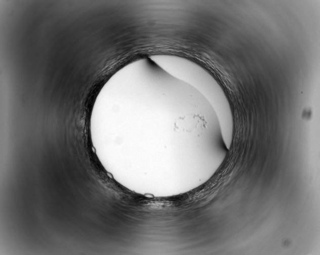 X0000103460415200810101155