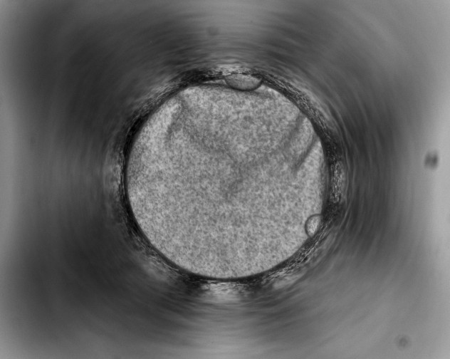 X0000103460417200810101155