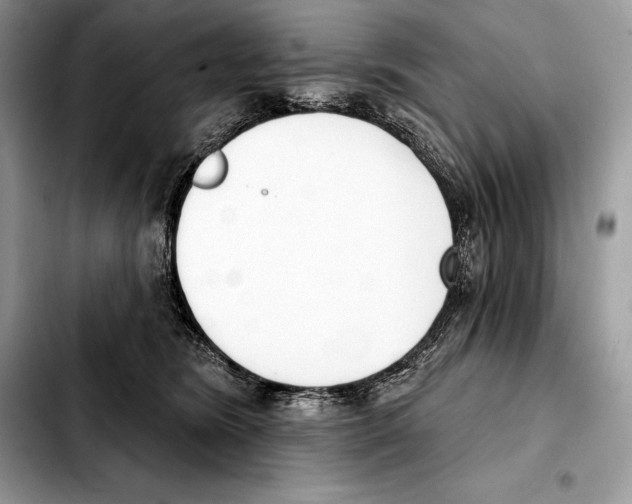 X0000103460420200810101155