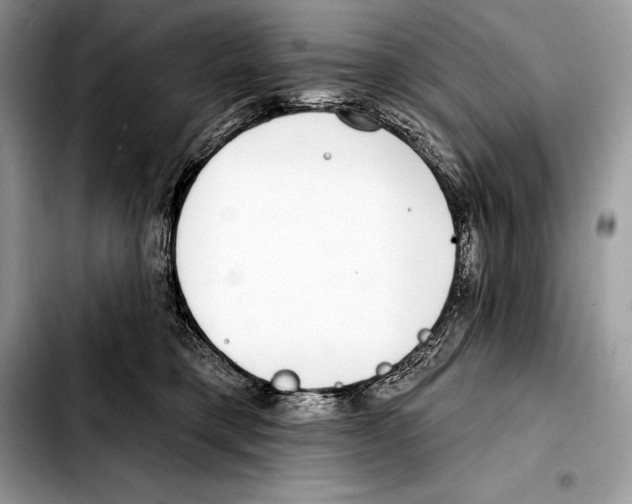 X0000103460421200810101155