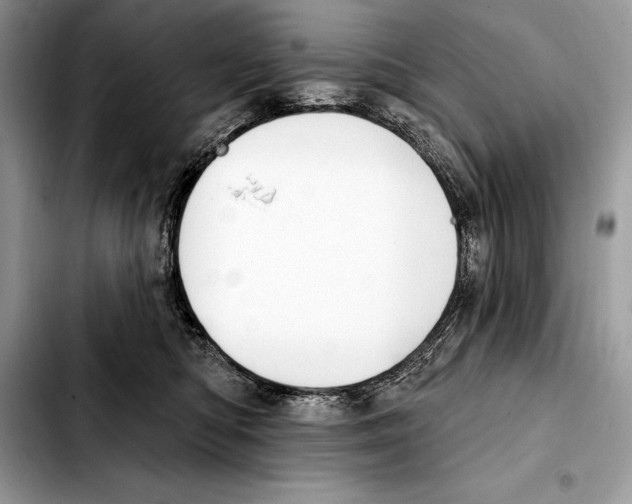 X0000103460422200810101155
