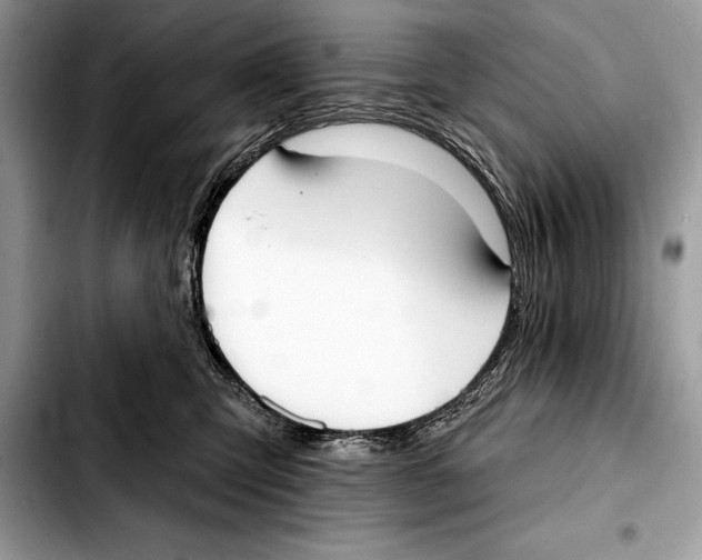 X0000103460423200810101155