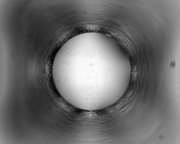X0000103460424200810101155
