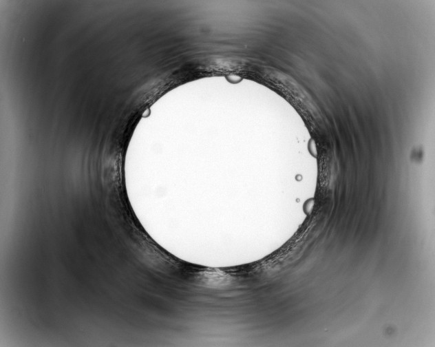 X0000103460425200810101155