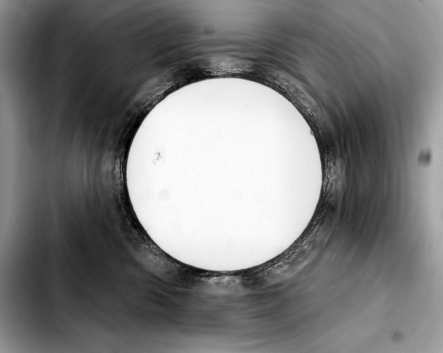 X0000103460426200810101154