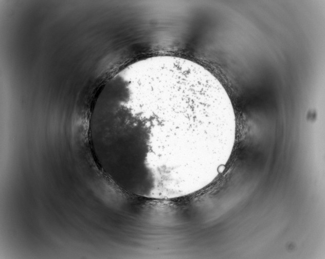 X0000103460427200810101154