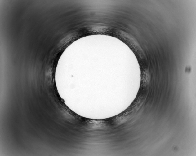 X0000103460428200810101154