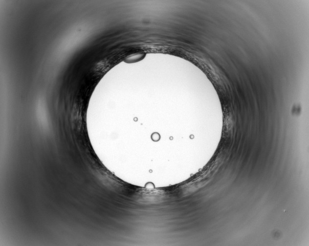 X0000103460429200810101154
