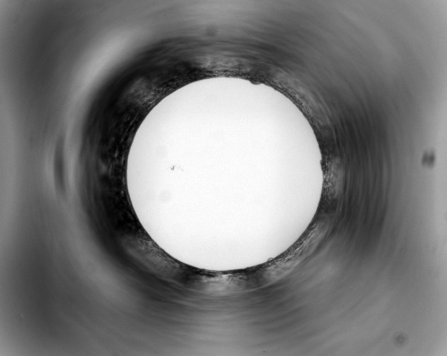 X0000103460430200810101154