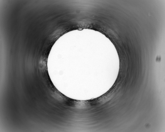 X0000103460432200810101154