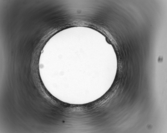 X0000103460433200810101154