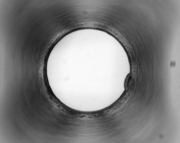 X0000103460434200810101154