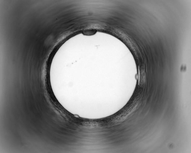 X0000103460435200810101154