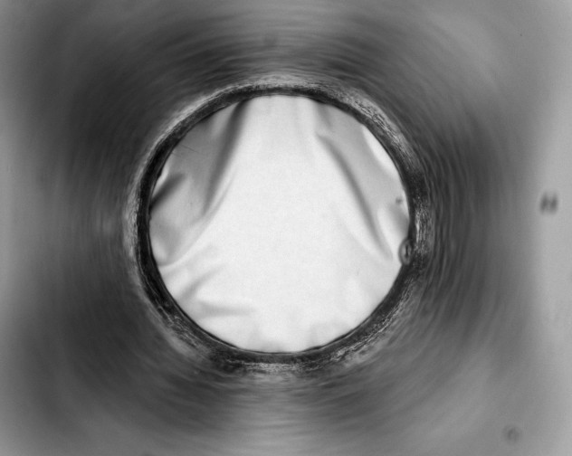X0000103460436200810101154