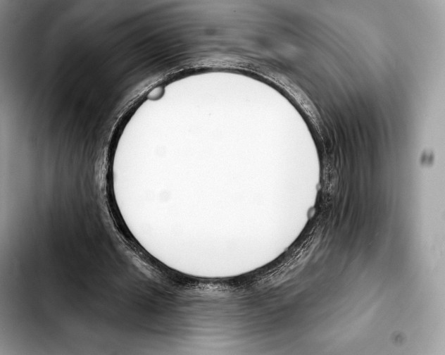 X0000103460437200810101154