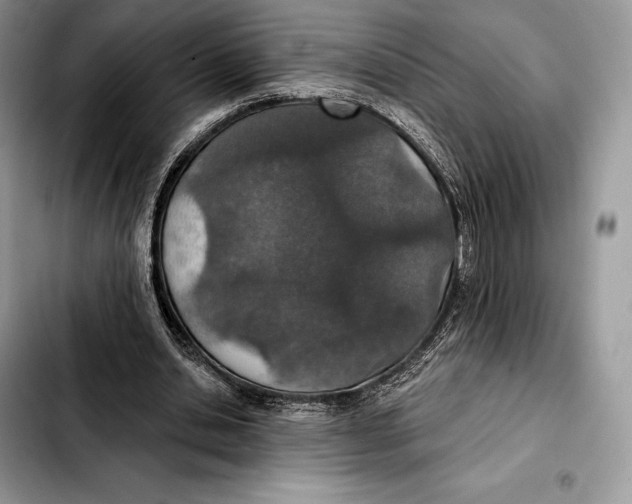 X0000103460438200810101154