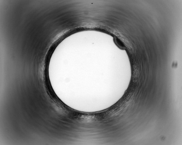 X0000103460440200810101154