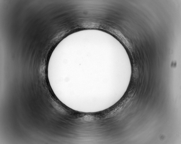 X0000103460441200810101154