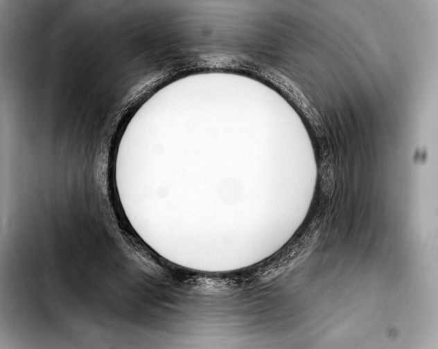 X0000103460442200810101154