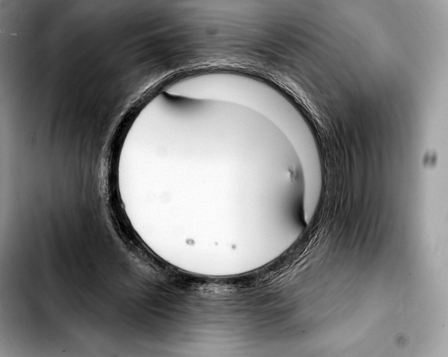 X0000103460444200810101154