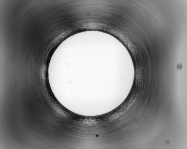 X0000103460445200810101154