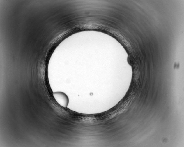 X0000103460446200810101154