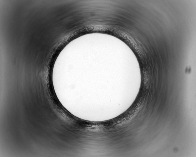 X0000103460447200810101154
