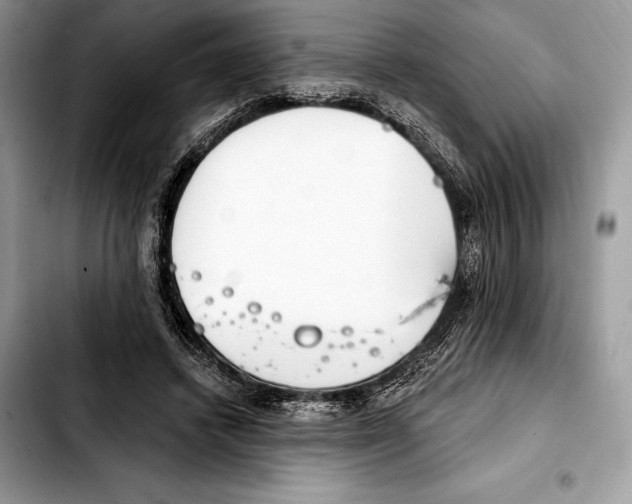 X0000103460448200810101154