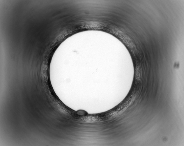 X0000103460449200810101154